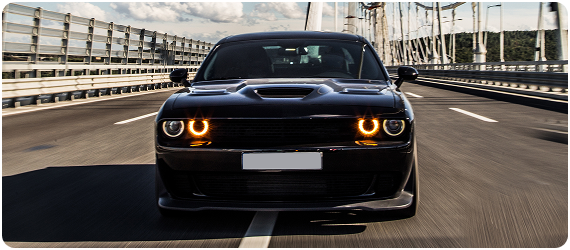 Car Rental